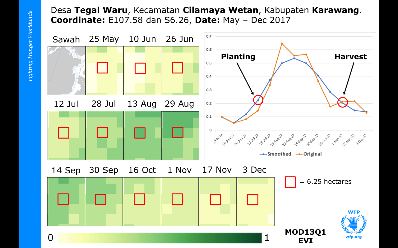 Figure 5. Monitoring of growth stages based on EVI